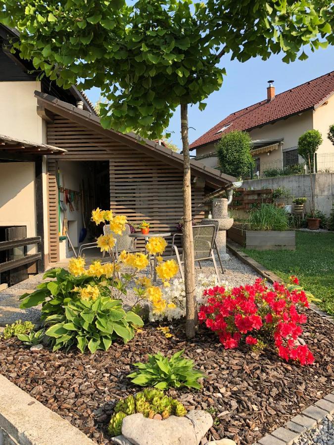 Apartma Nomad Novo Mesto Bagian luar foto