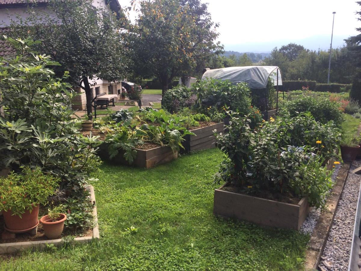 Apartma Nomad Novo Mesto Bagian luar foto