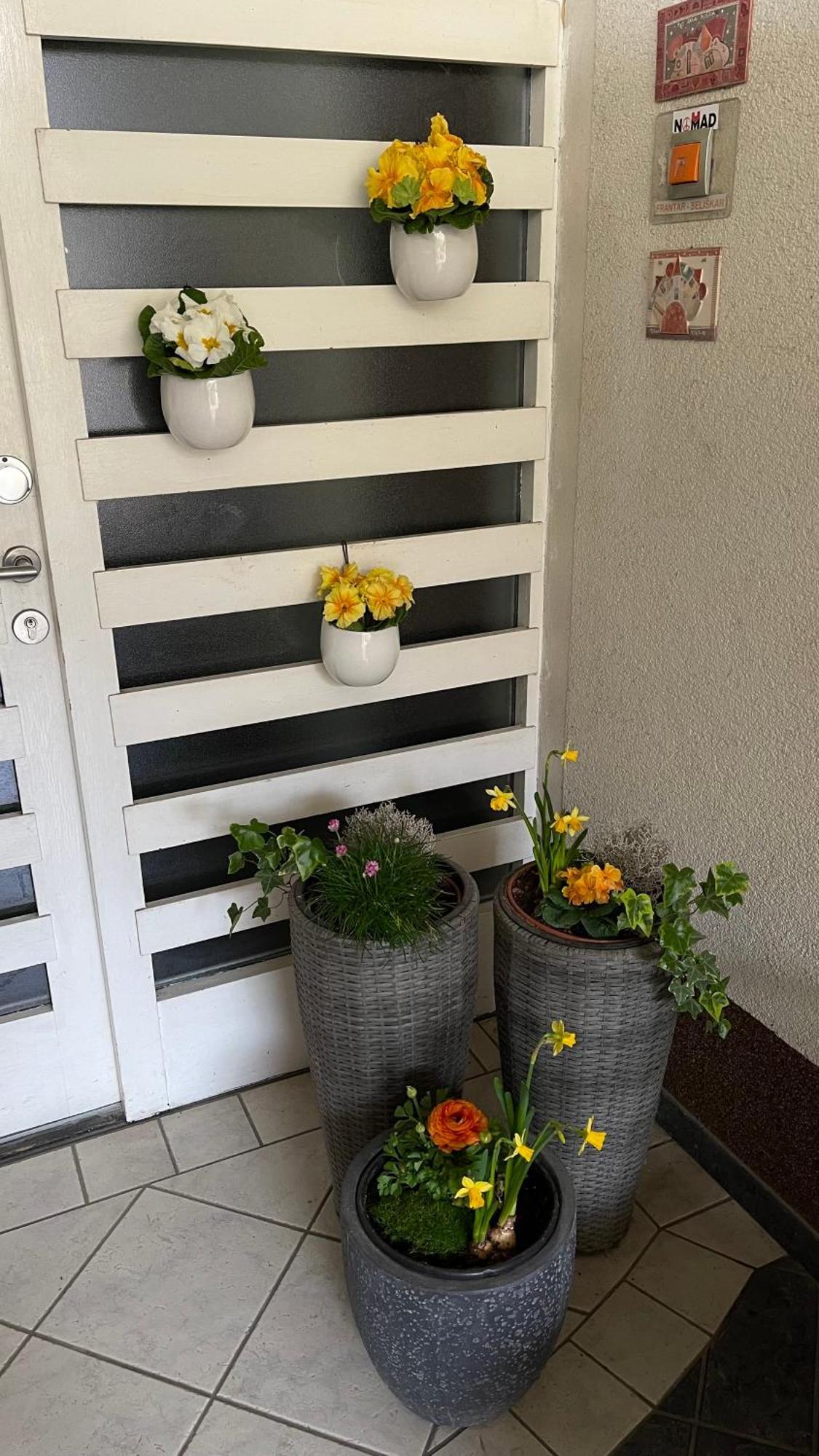 Apartma Nomad Novo Mesto Bagian luar foto